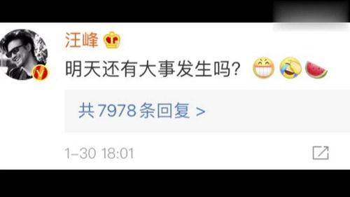 娱乐718吃瓜网官网,揭秘娱乐圈最新“瓜田”动态，带你领略明星幕后故事